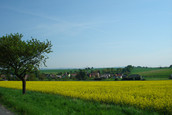 obec Čelechovice